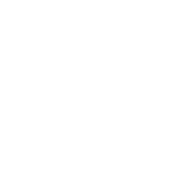 SK logo