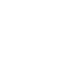 LDLC OL logo